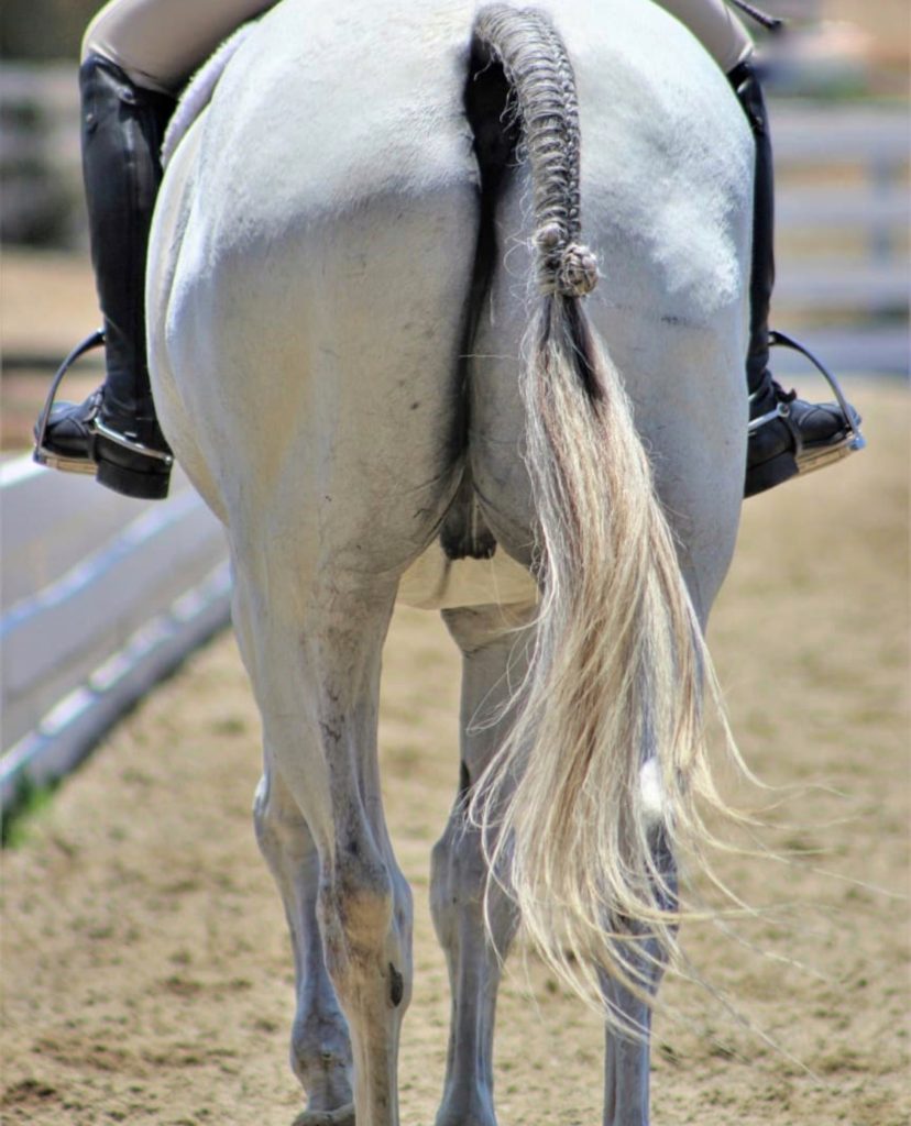 horse tail braids