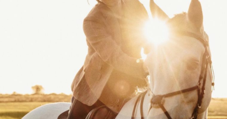 Get in the Saddle! Start Horse Riding Lessons Now