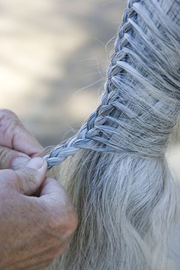 how to braid a horse tail