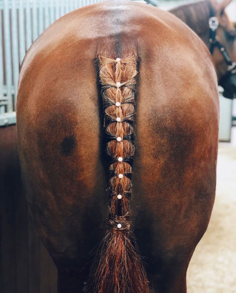 unique horse tail braids