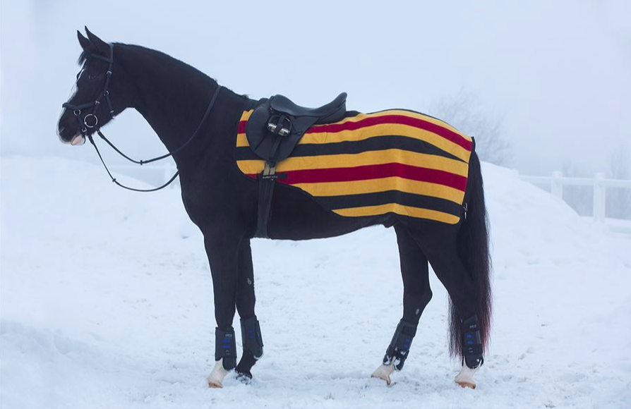 horse gifts: Rambo newmarket striped quarter sheet for horses