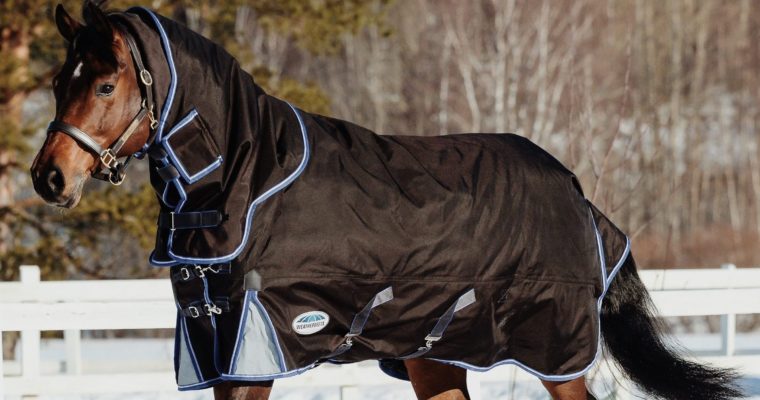 8 Innovative Horse Blankets Worth Investing in This Winter