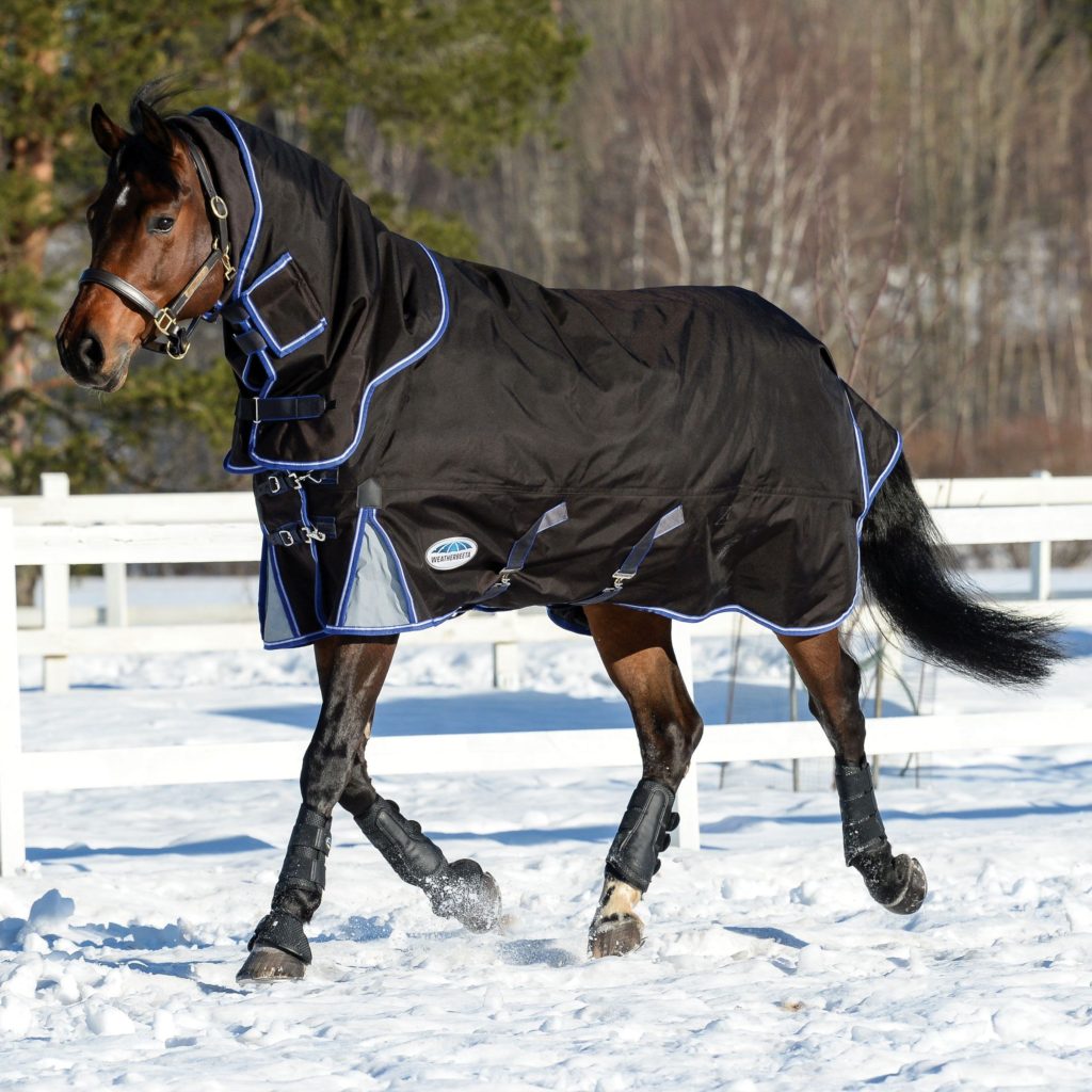 horse blanket WeatherBeeta
