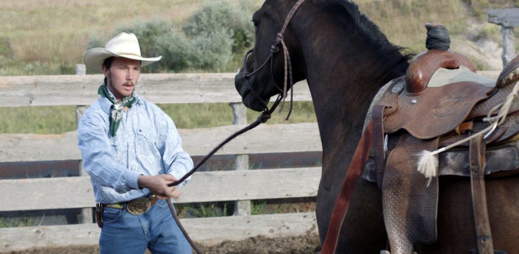 horse films the rider chloe zhao