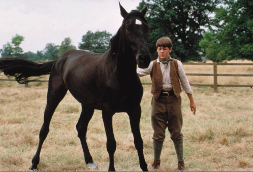 best horse movies black beauty