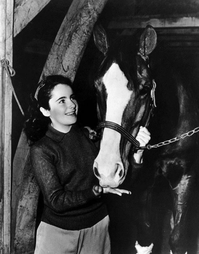 horse movies National Velvet elizabeth taylor