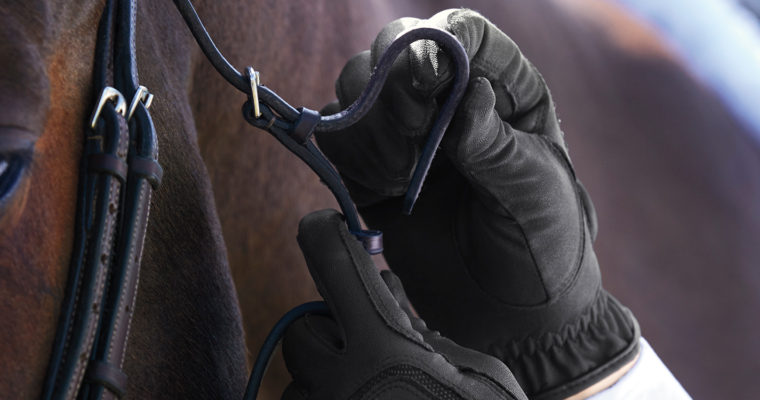 10 Greatest Horse Riding Gloves for All Seasons